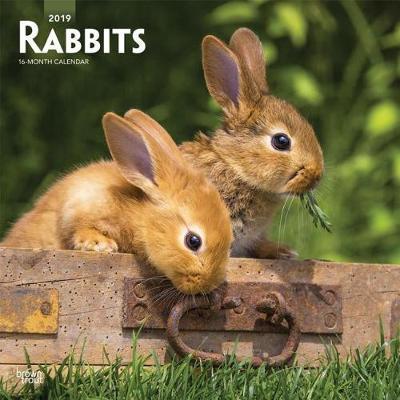 Rabbits 2019 Square Wall Calendar by Inc Browntrout Publishers image