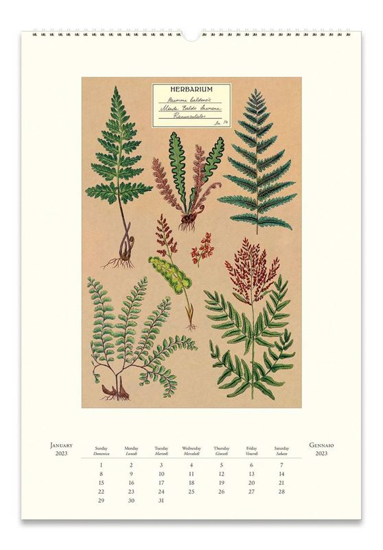 Buy Cavallini & Co Vintage Herbarium Wall Calendar (2023) at Mighty