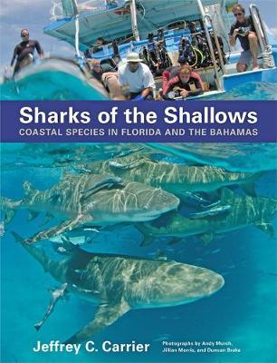 Sharks of the Shallows by Jeffrey C. Carrier image