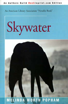 Skywater on Paperback by Melinda Worth Popham