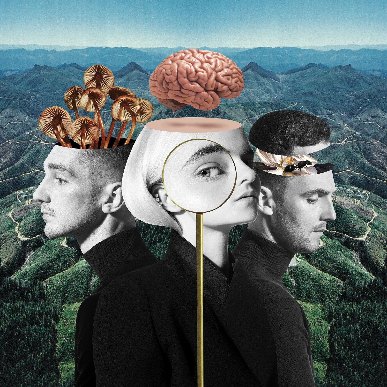 What Is Love? by Clean Bandit image