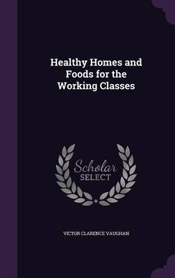 Healthy Homes and Foods for the Working Classes image