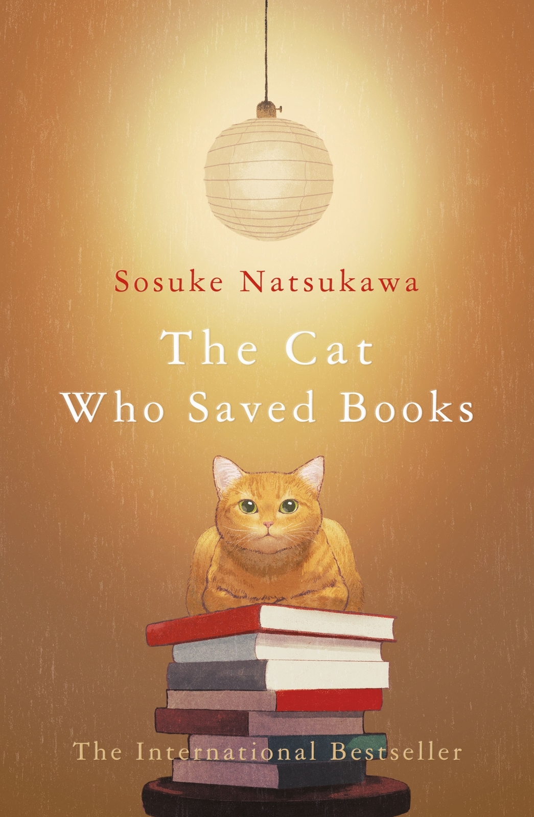 The Cat that Saved Books Sosuke Natsukawa Book InStock Buy Now