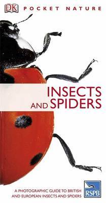 Insects and Spiders by DK