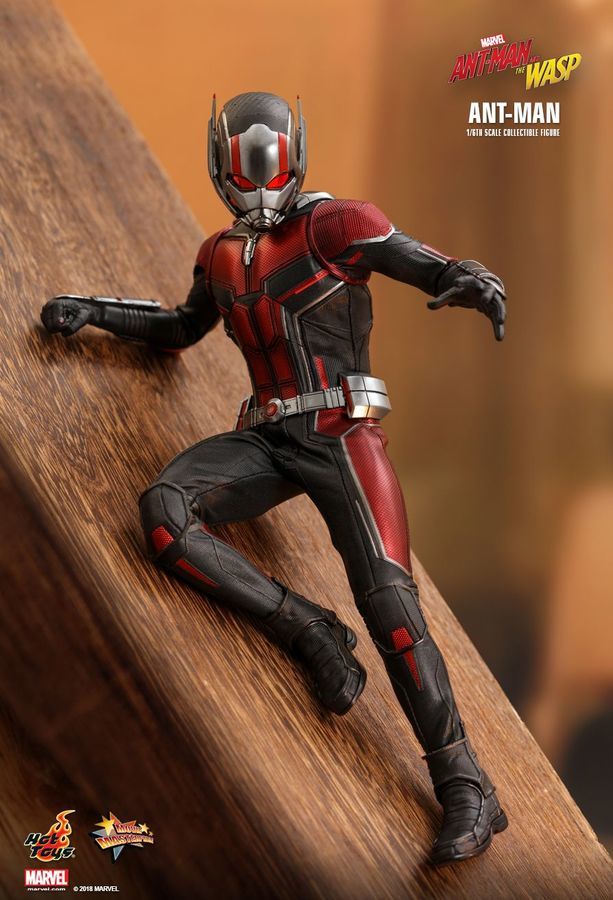 Marvel: Ant-Man (Antman & The Wasp) - 12" Articulated Figure image