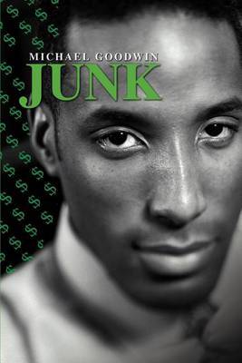 Junk by Michael Goodwin image