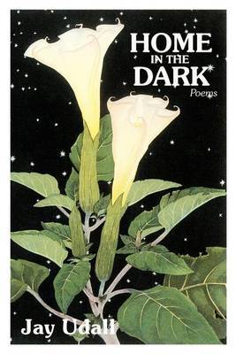 Home in the Dark by Jay Udall image