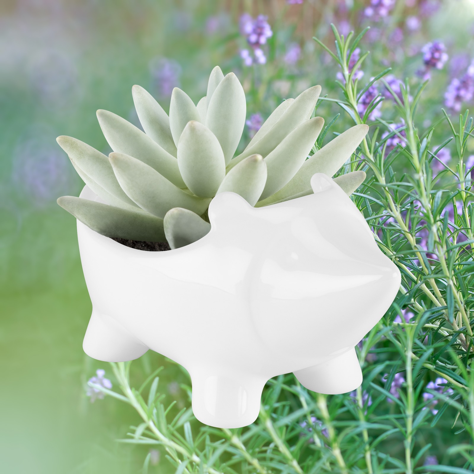 TrueZoo: Hedgehog Planter- White image
