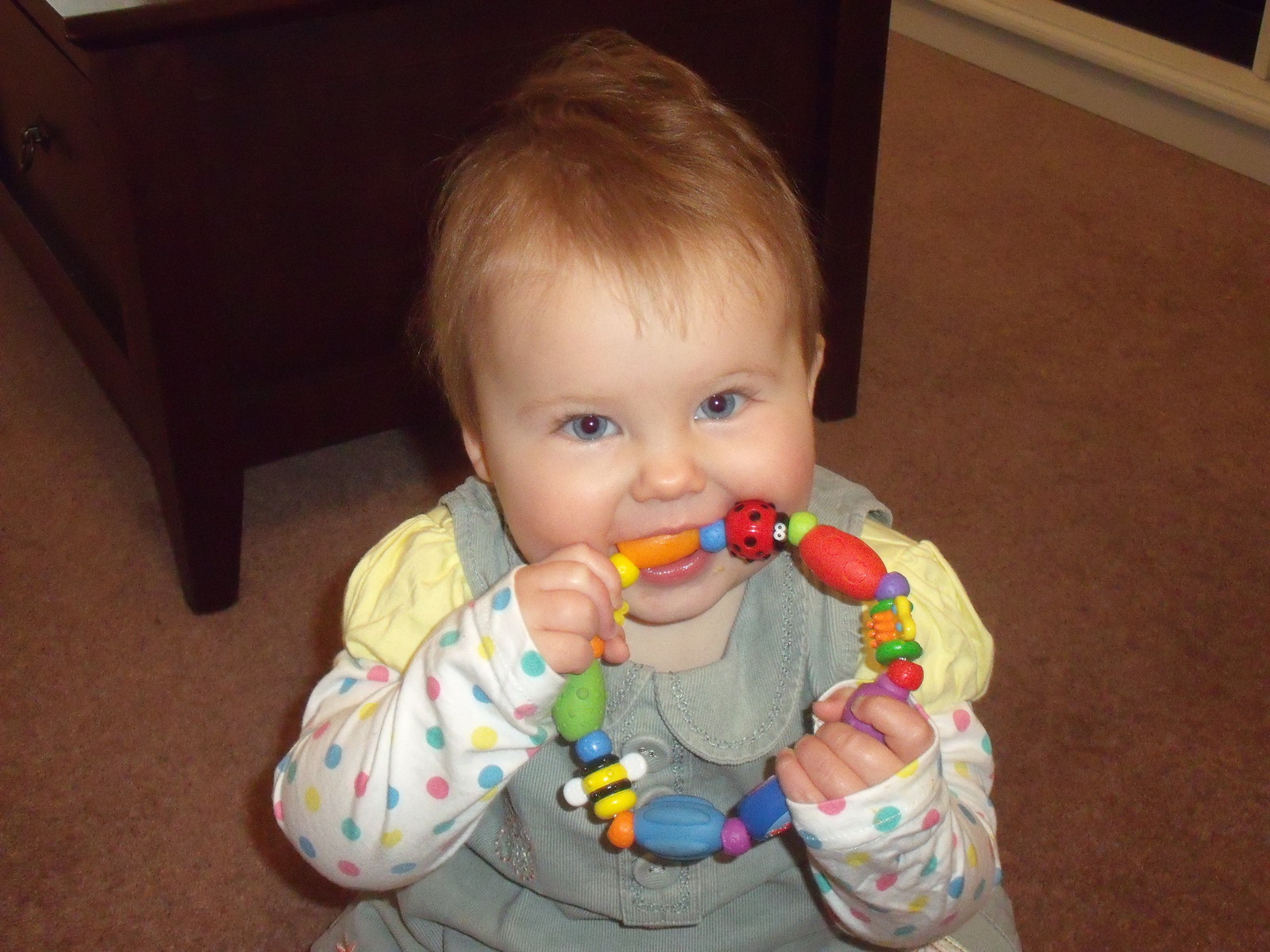 Nuby Bug-A-Loop Teether image