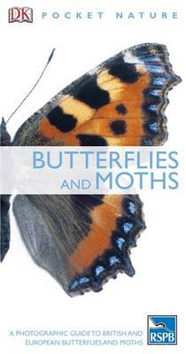 Butterflies and Moths by DK image