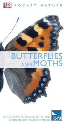 Butterflies and Moths image