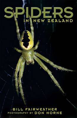 Spiders in New Zealand by Bill Fairweather image