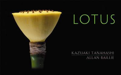 Lotus by Allan Baillie image