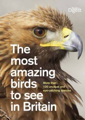 The Most Amazing Birds to See in Britain: More Than 120 Unusual and Eye-Catching Species by Reader's Digest image