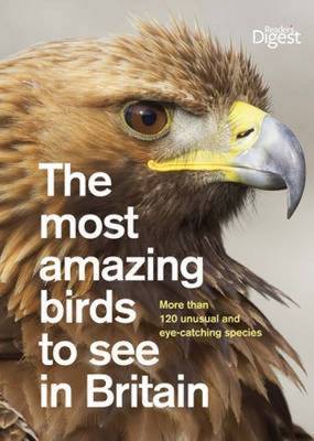 Most Amazing Birds to See in Britain image