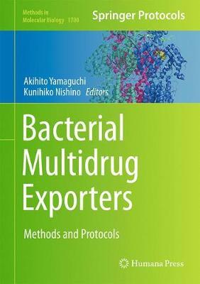 Bacterial Multidrug Exporters image