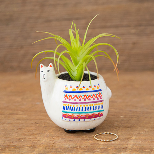 Natural Life: Critter Succulent - Llama image