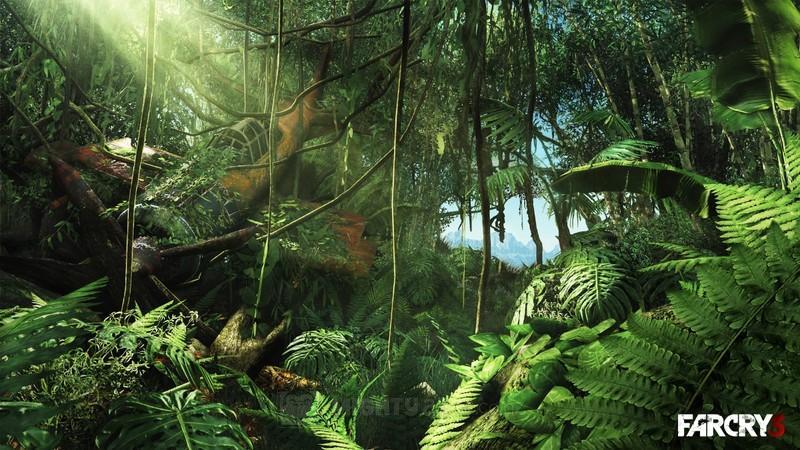 Far Cry 3 (download code only) for PC image