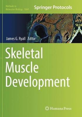 Skeletal Muscle Development image