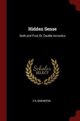 Hidden Sense by E R Babington image