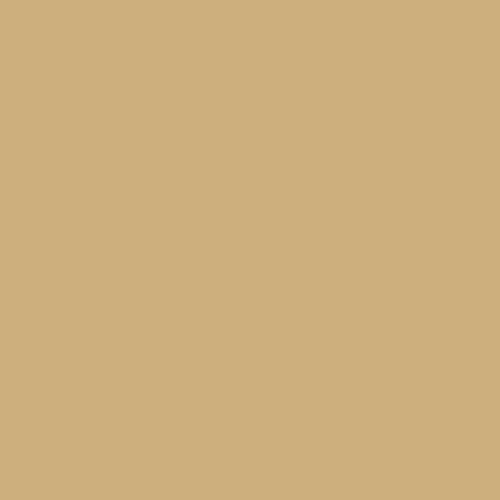 Vallejo Model Colour Buff 17ml image