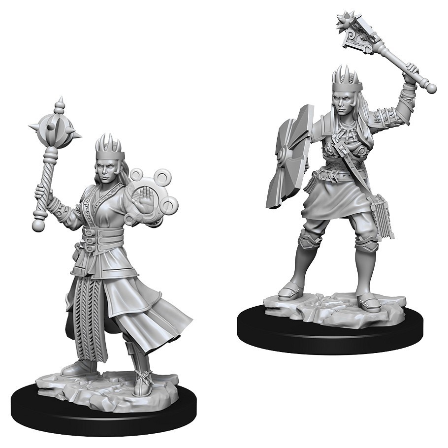 D&D Nolzur's Marvelous: Unpainted Miniatures - Female Human Cleric image