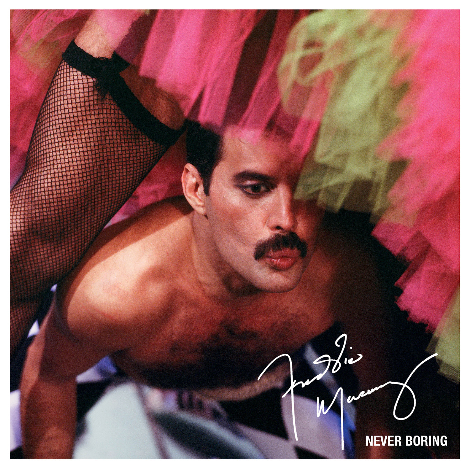 Never Boring by Freddie Mercury image
