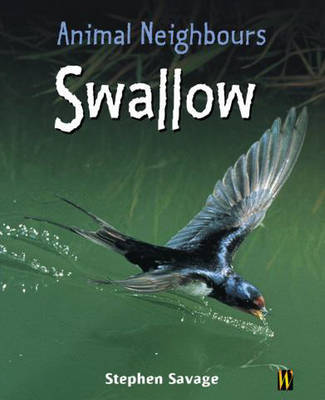 Swallow by Stephen Savage image