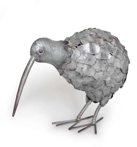 Free Range Kiwi - Silver Large Metal (45X17cm) image