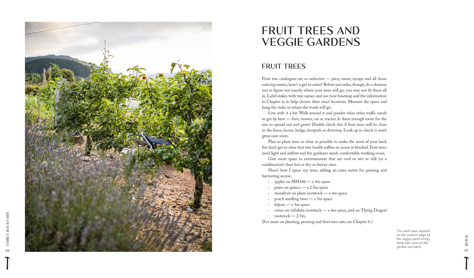 The Edible Backyard by Kath Irvine image