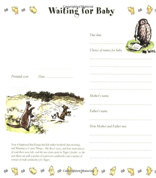 Winnie the Pooh Baby Days - Record Book image