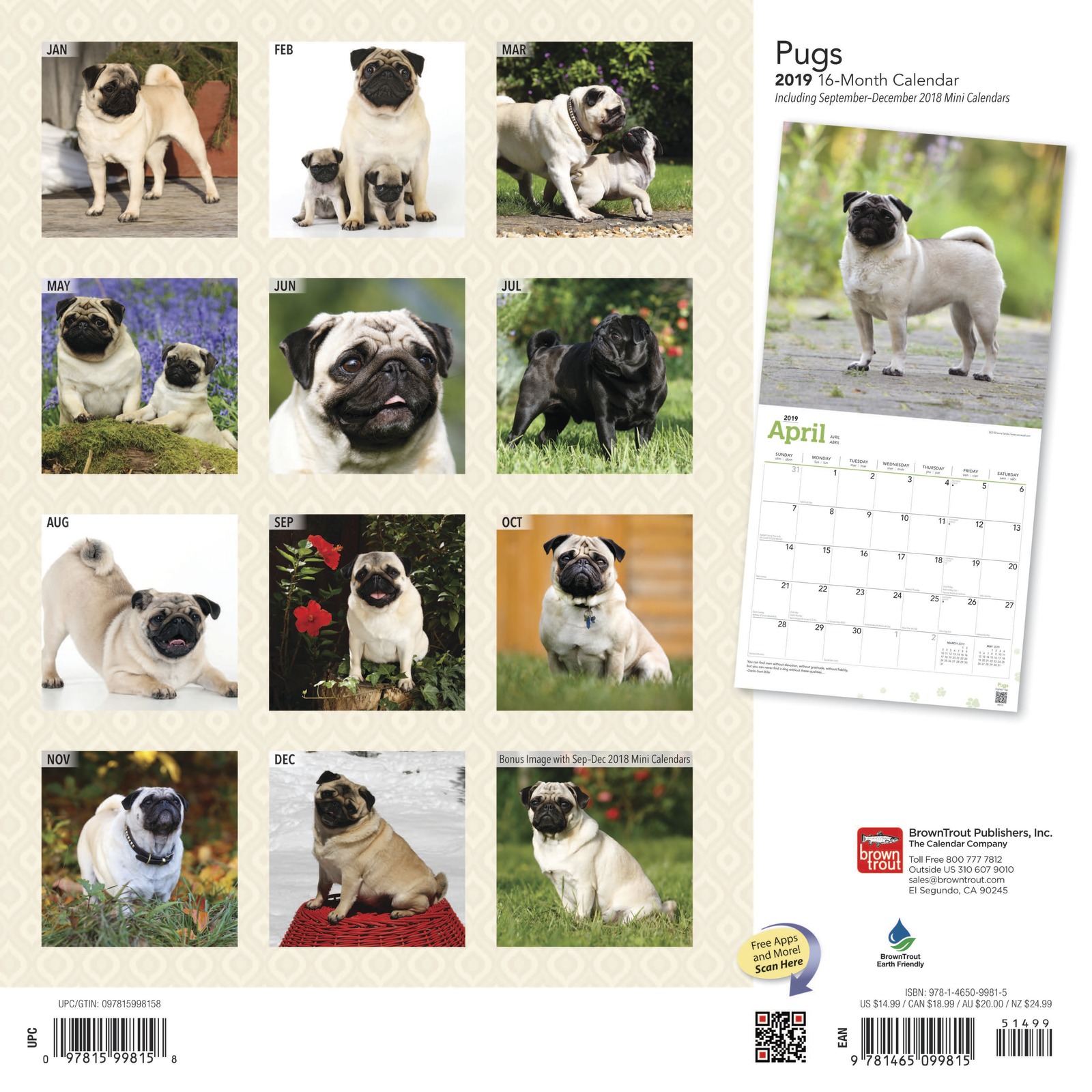 Pugs 2019 Square Wall Calendar by Inc Browntrout Publishers image