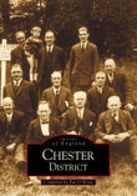 Chester District image