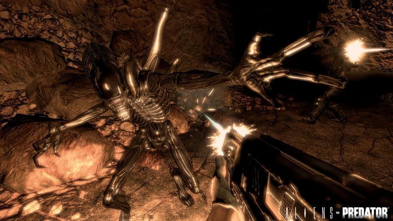 Aliens vs Predator Survivor Edition on PC