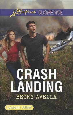 Crash Landing by Becky Avella image