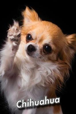 Chihuahua by Notebooks Journals Xlpress image