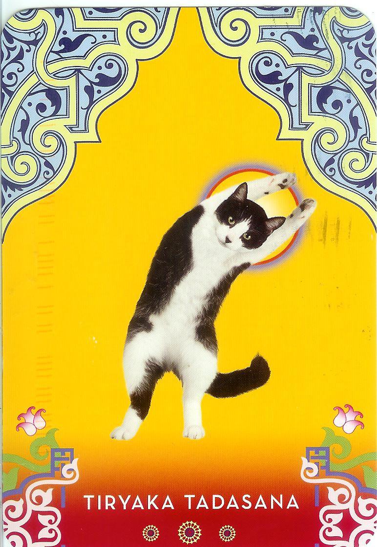 Cat Yoga Postcards image