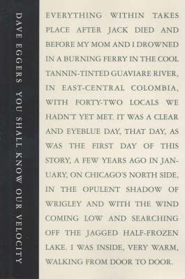 You Shall Know Our Velocity by Dave Eggers image
