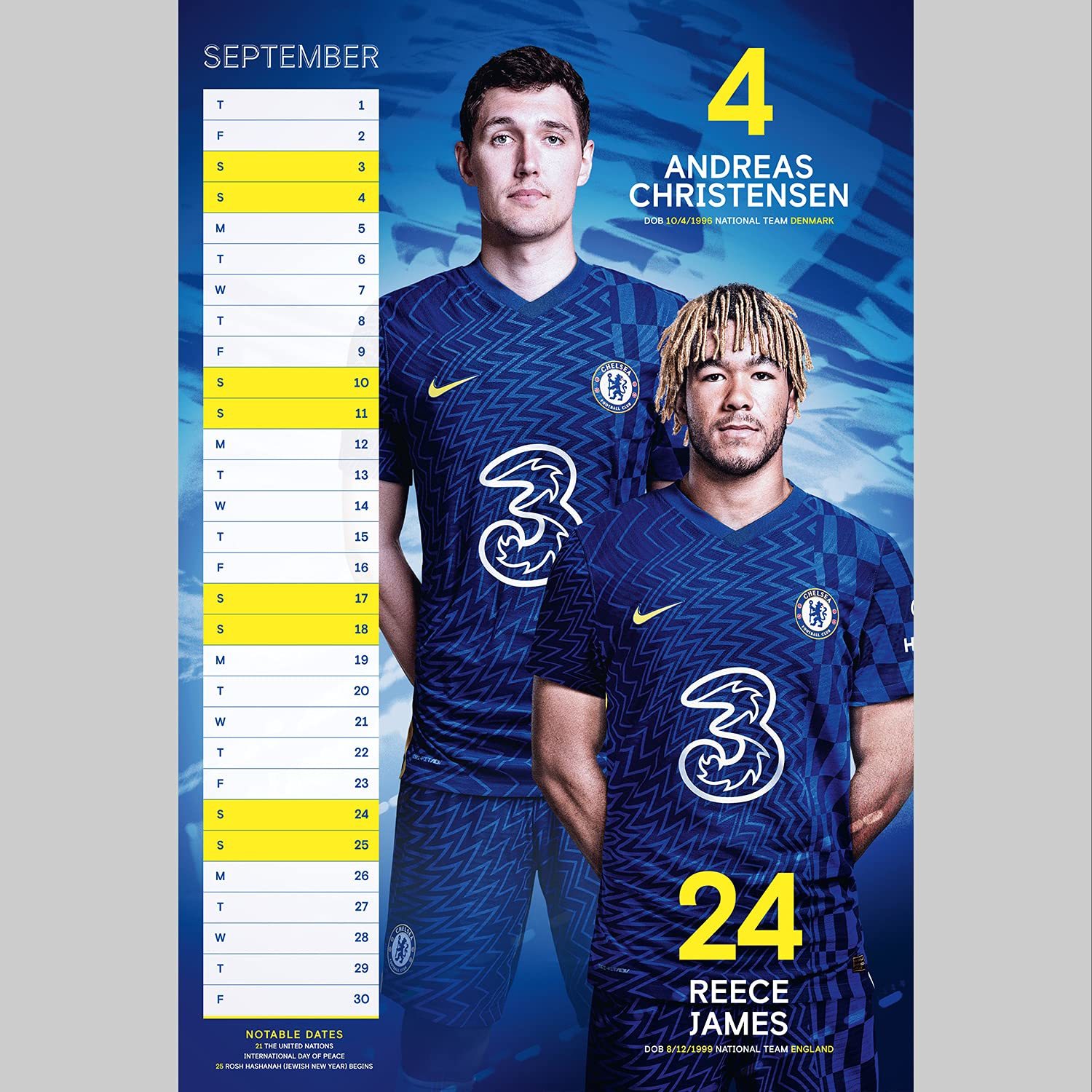 Buy Official Chelsea 2022 A3 Wall Calendar at Mighty Ape NZ
