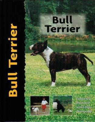 Bull Terrier on Hardback by Bethany Gibson