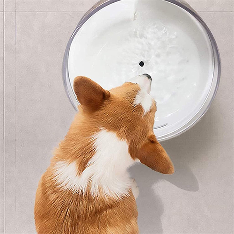 Buy 1.5L Automatic Pet Water Dispenser at Mighty Ape NZ