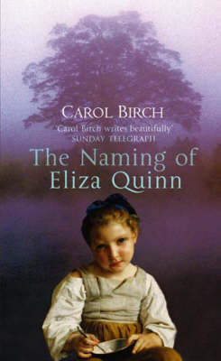 The Naming Of Eliza Quinn by Carol Birch image