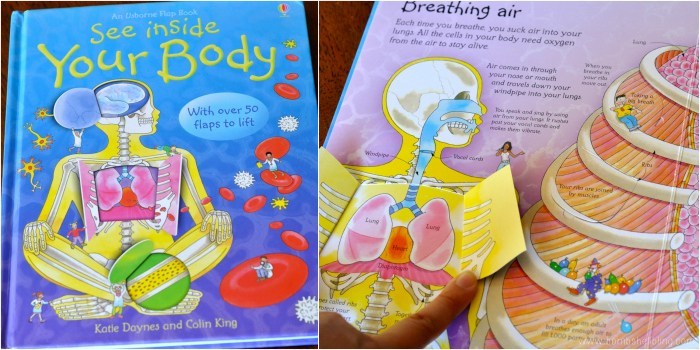 See Inside Your Body by Katie Daynes