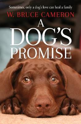 A Dog's Promise by W.Bruce Cameron image