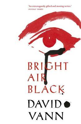 Bright Air Black by David Vann image