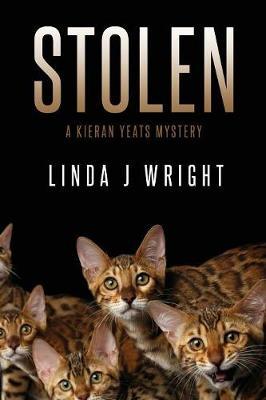 Stolen by Linda J Wright image