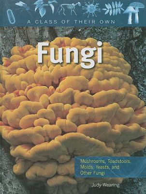 Fungi: Mushrooms, Toadstools, Molds, Yeasts, and Other Fungi image