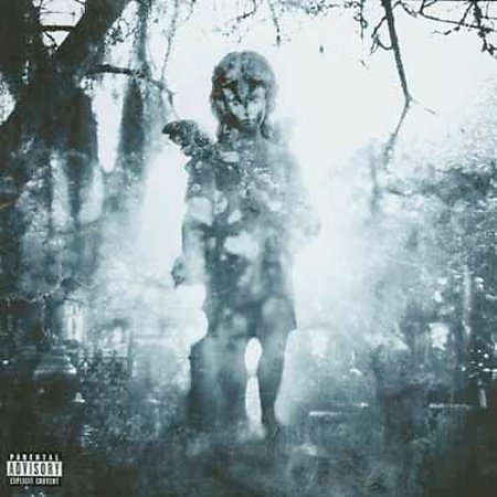 Through The Ashes Of Empires by Machine Head image