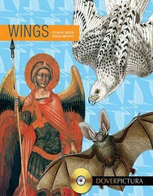 Wings by Alan Weller image