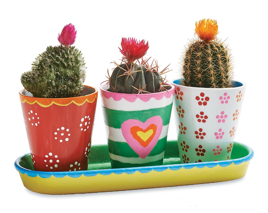 Mindware Create: Paint Your Own - Porcelain Flower Pots